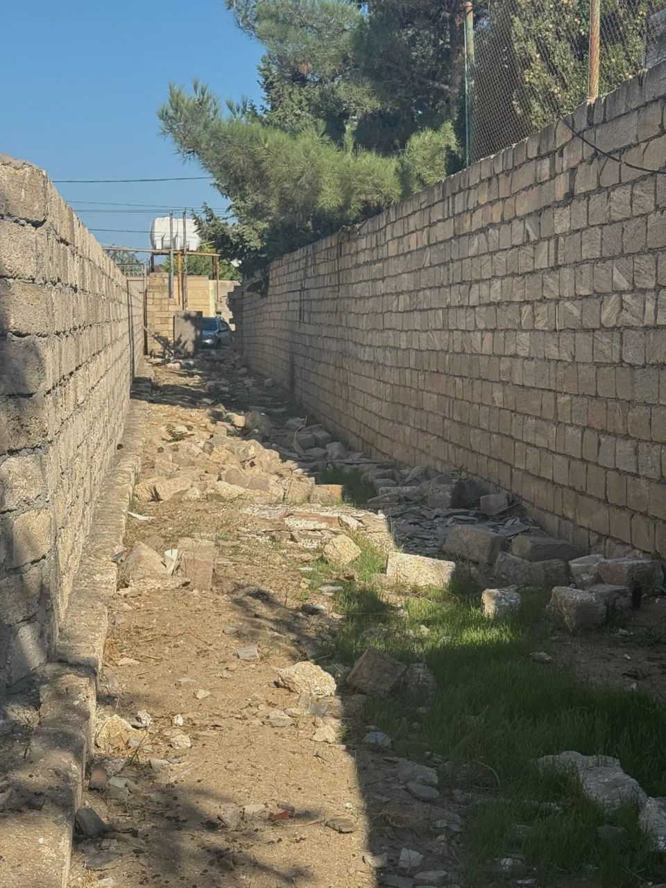 For sale: land, 12 sot — Torpaq, Bakı (9)