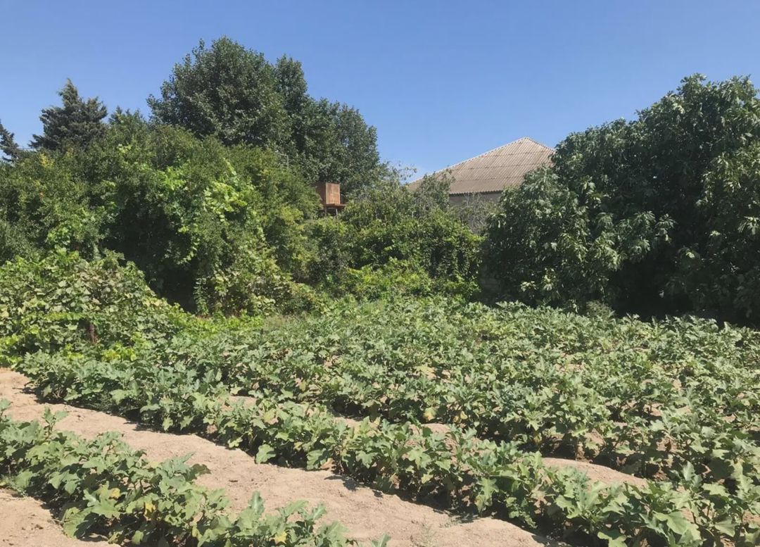 15 sot torpaq sahəsi satılır Bakı, Sabunçu r — Torpaq, Bakı (2)