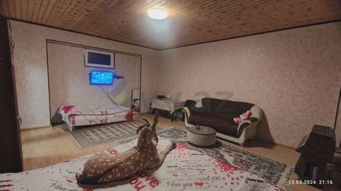 1 otaqlı Həyət evi Kirayə (günlük), Quba — 40 ₼ · Губа · Ev, villa 1 otaqlı Həyət evi Kirayə (günlük), Quba — Губа