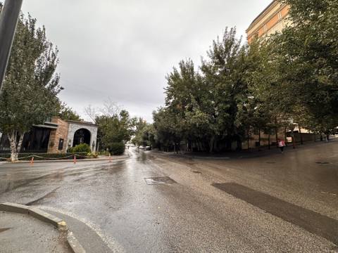 Biznes üçün — Arifə