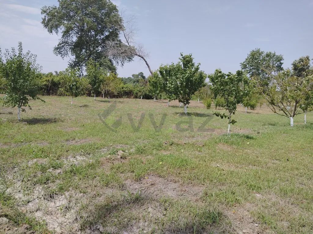 For sale: land, 22 sot — Torpaq, Xaçmaz