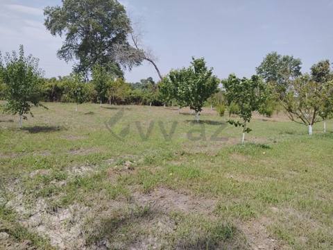 22 sot Torpaq Satılır, Xaçmaz — 30 000 ₼ · Xaçmaz · Torpaq 22 sot Torpaq Satılır, Xaçmaz — Xaçmaz