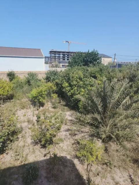 8 sot Torpaq Satılır, Nardaran qəs., Sabunçu, Bakı — Bakı