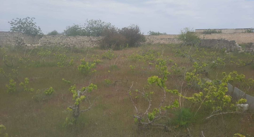 32 sot torpaq sahəsi satılır Bakı, Sabunçu r — Torpaq, Bakı (6)