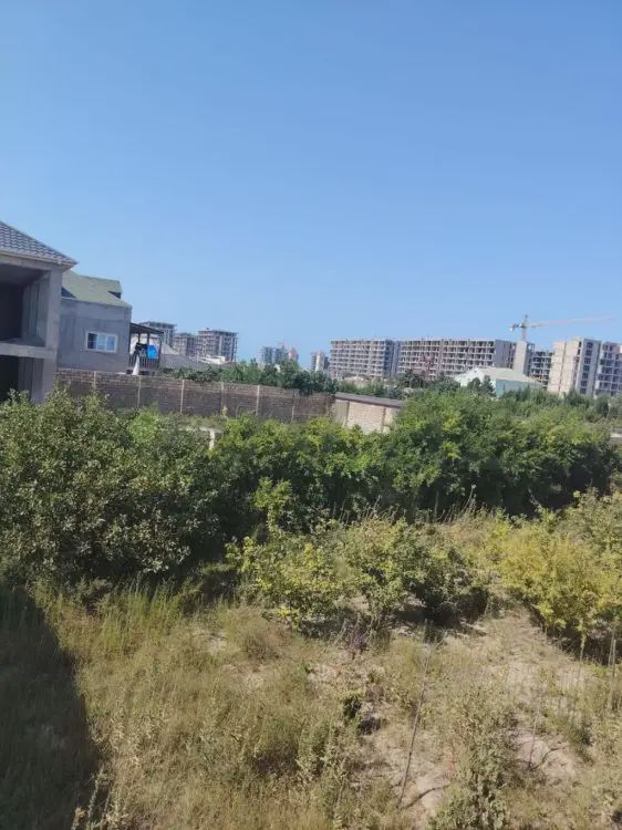 For sale: land, 8 sot — Torpaq, Bakı (3)