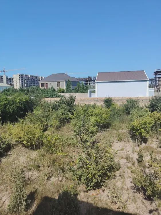 For sale: land, 8 sot — Torpaq, Bakı (2)