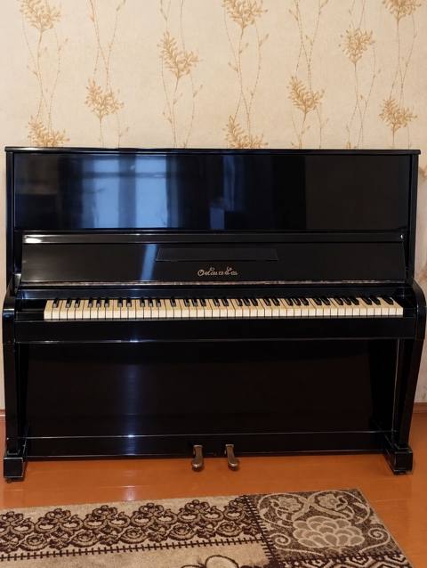 Piano satılır.Dəyərindən ucuz qiymətə.Tam 88 klavişli.Heç bir problemi — 300 ₼ · Aghjabadi · Pianino və digər klaviş alətləri Piano satılır.Dəyərindən ucuz qiymətə.Tam 88 klavişli.Heç bir problemi — Aghjabadi