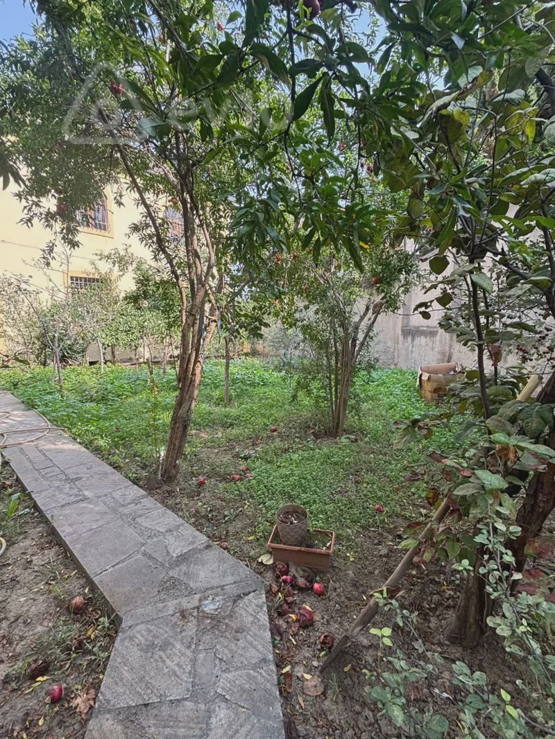 Satılık müstakil ev / Yazlık / Villa, 300 m² — Ev, villa, Bakı (4)