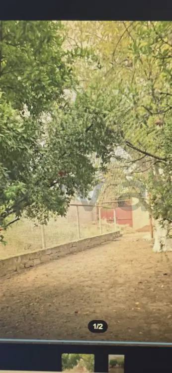 4 sot Torpaq Satılır, Buzovna, Xəzər, Bakı — 92 000 ₼ · Bakı · Torpaq 4 sot Torpaq Satılır, Buzovna, Xəzər, Bakı — Bakı