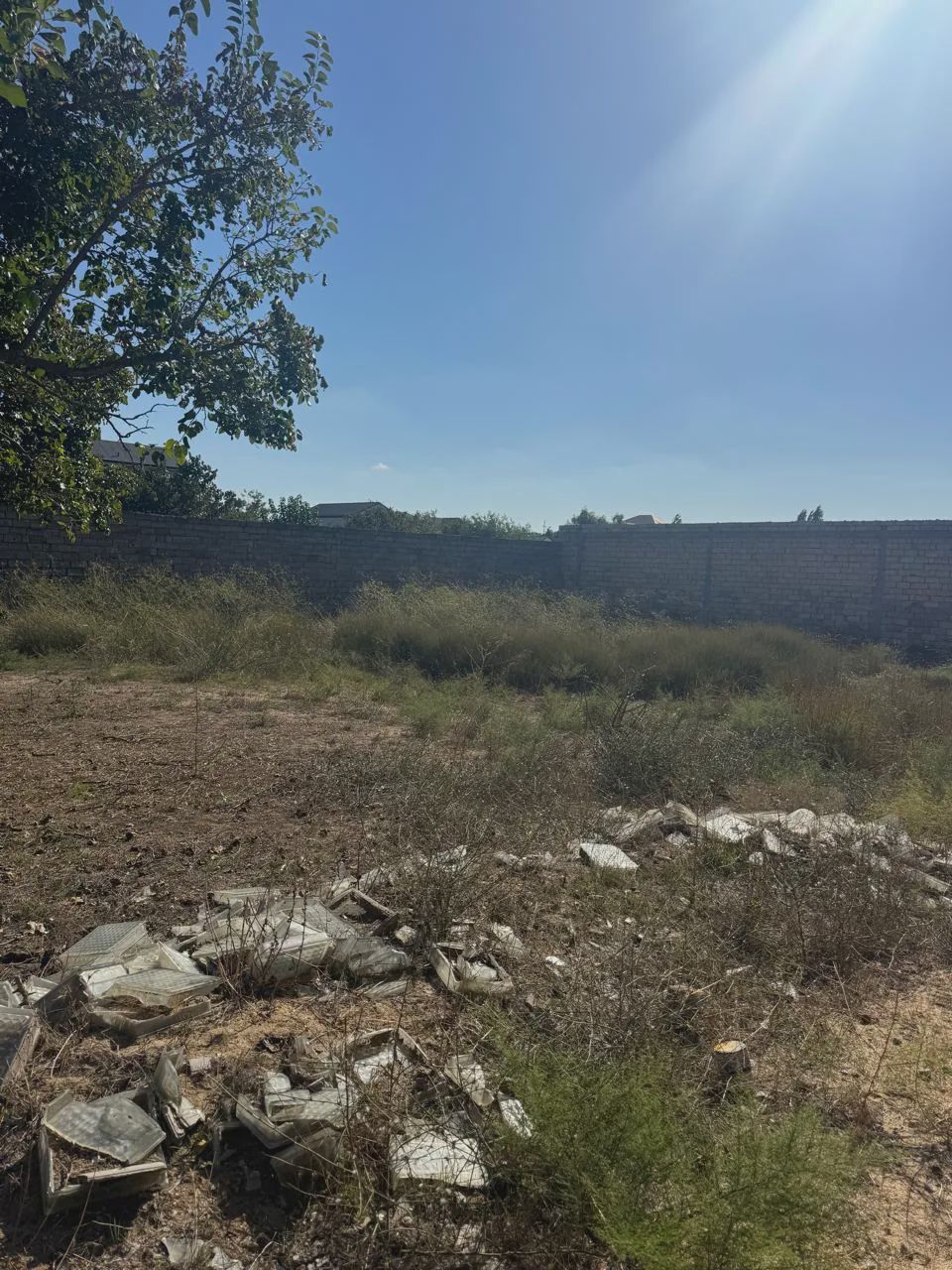 For sale: land, 12 sot — Torpaq, Bakı (7)