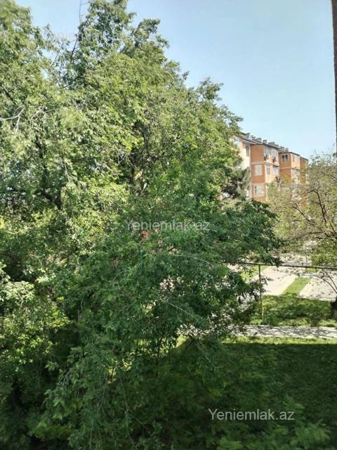 Satılır 1 otaqlı Bina evi menzil (Köhnə tikili), 32 m², Nizami rayonu — 126 000 ₼ · Baku · Mənzil Satılır 1 otaqlı Bina evi menzil (Köhnə tikili), 32 m², Nizami rayonu — Baku