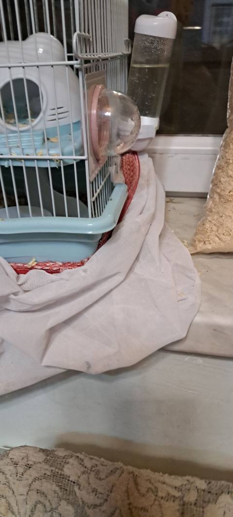 Hamster üçün tam dəst qəfəs - Rəng: açıq mavi altlıq, ağ barmaqlıq — Баку