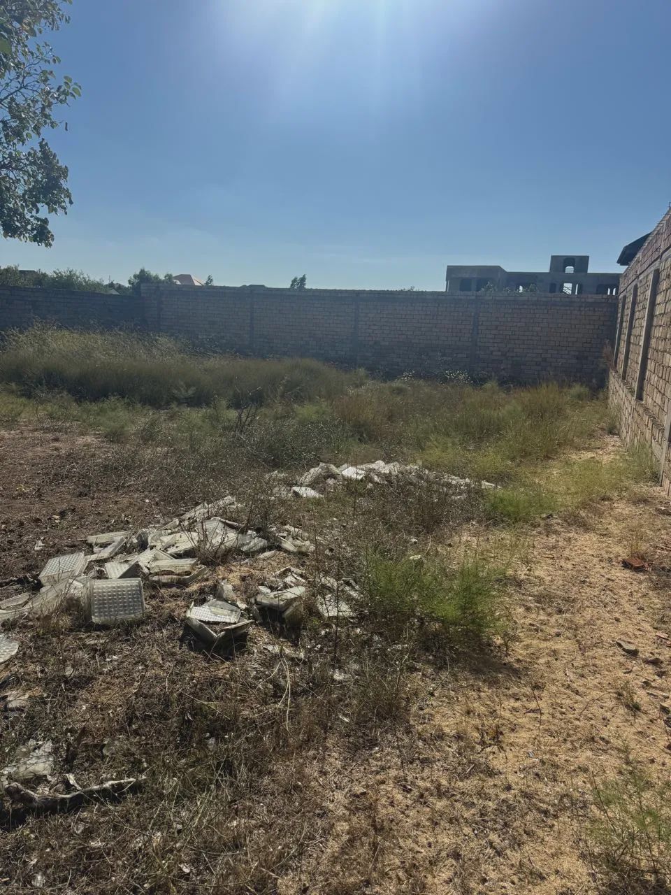 For sale: land, 12 sot — Torpaq, Bakı (6)