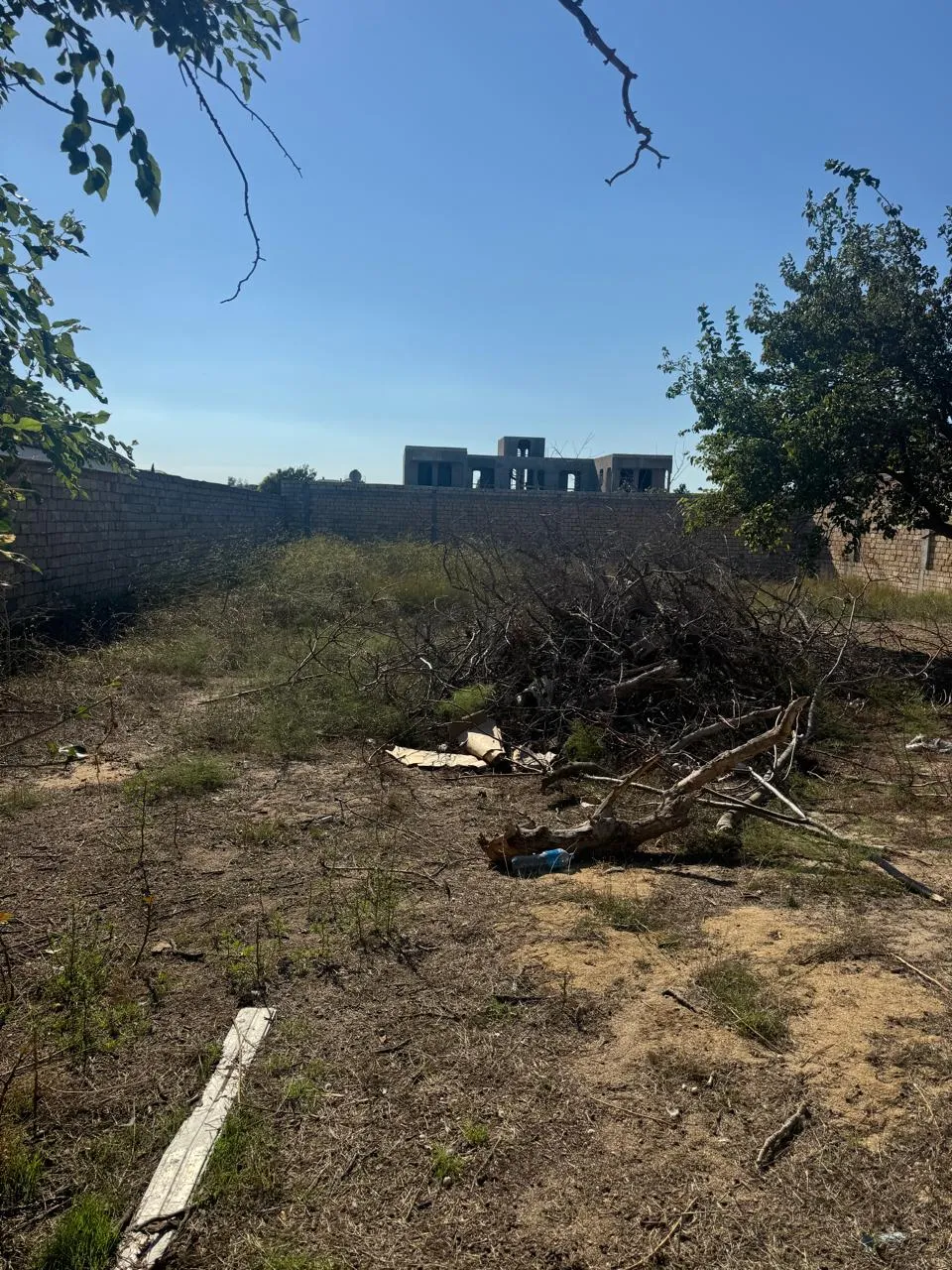 For sale: land, 12 sot — Torpaq, Bakı (4)