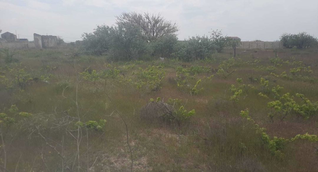 32 sot torpaq sahəsi satılır Bakı, Sabunçu r — Torpaq, Bakı (2)