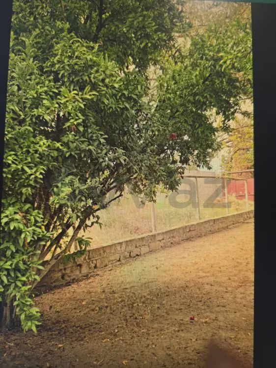 For sale: land, 4 sot — Torpaq, Bakı (4)