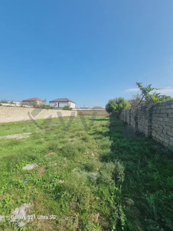 For sale: land, 10 sot — Torpaq, Bakı (5)