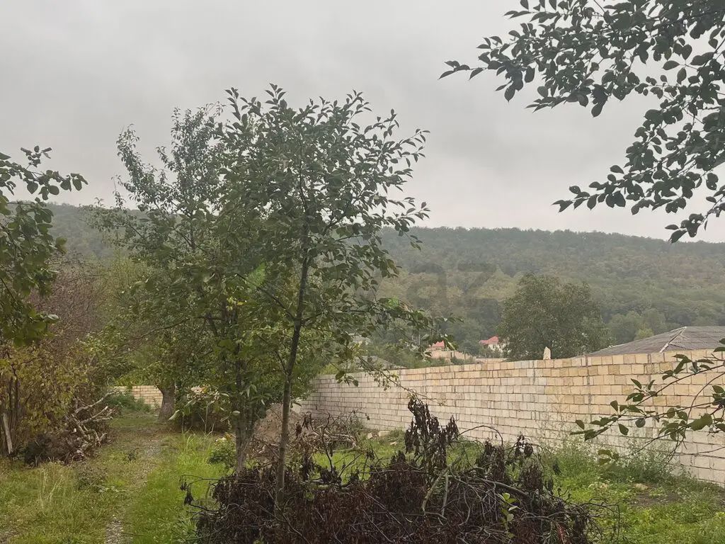 Satılık arsa, 16.5 sot — Torpaq, Quba (5)