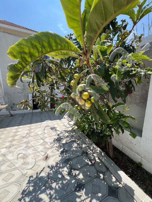Satılık 3 odalı müstakil ev / Yazlık / Villa, 110 m² — Ev, villa, Bakı (4)