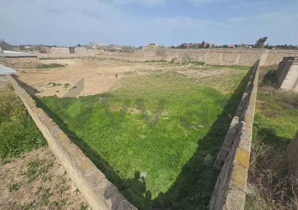 For sale: land, 25 sot — Torpaq, Bakı (4)