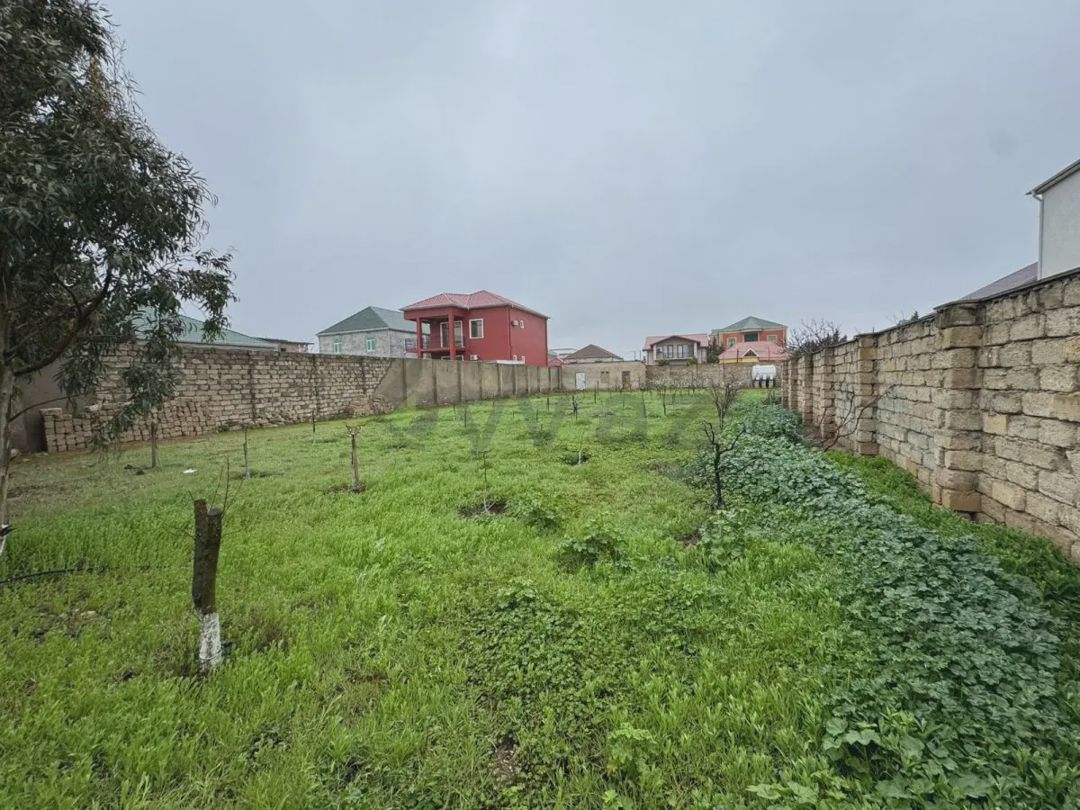 For sale: land, 13 sot — Torpaq, Bakı (4)