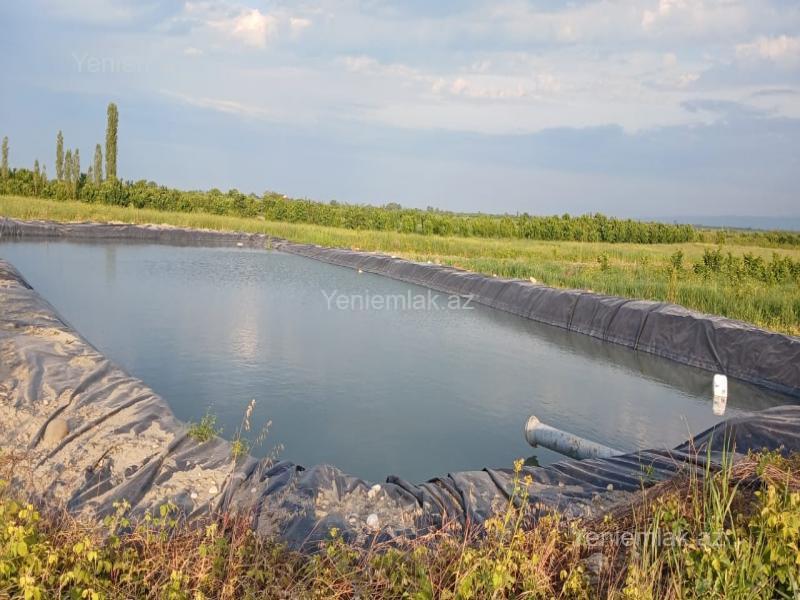 For sale: land, 436 sot — Torpaq, Quba (10)
