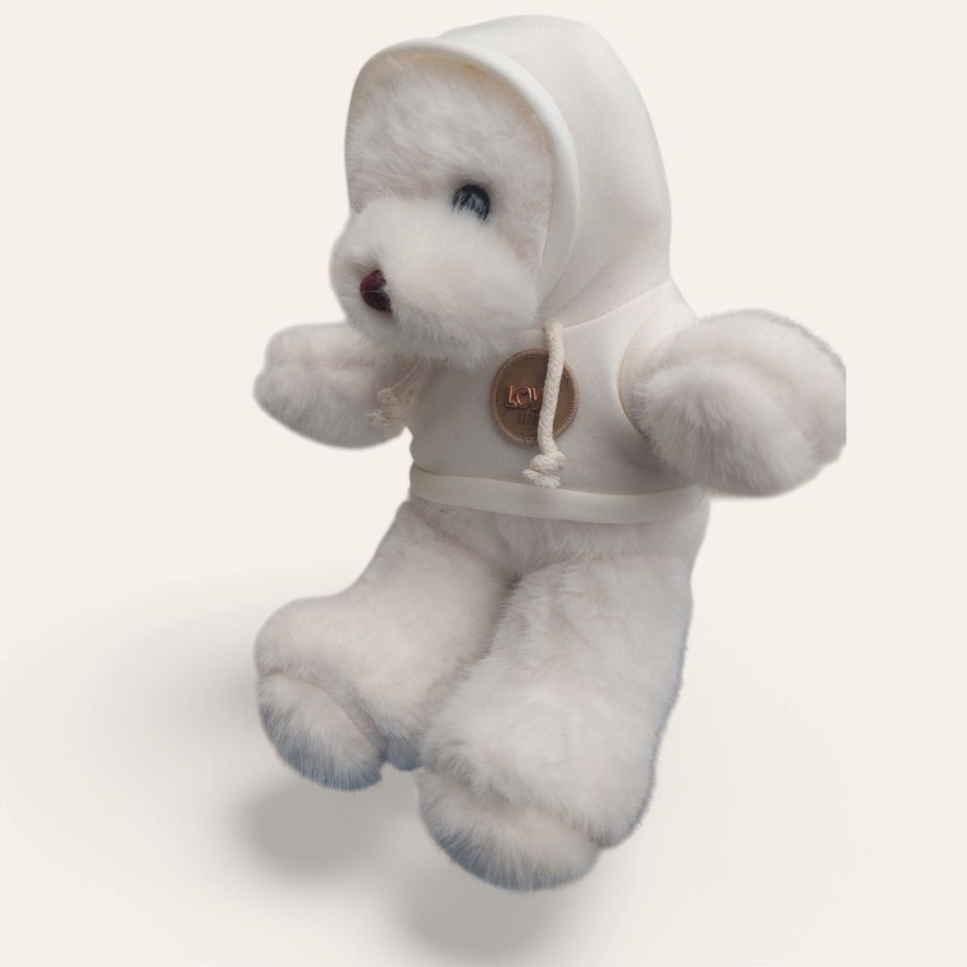 Ağ Teddy Bear. Teddy_2673ea — Yumşaq oyuncaqlar, Bakı