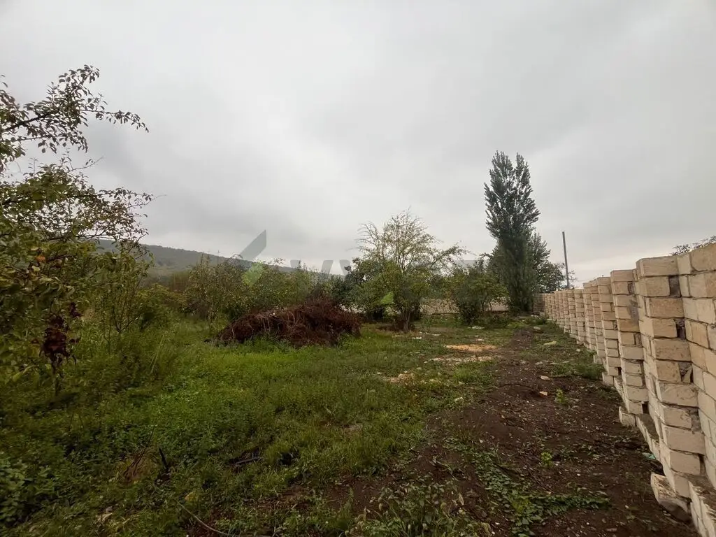 Satılık arsa, 16.5 sot — Torpaq, Quba (2)
