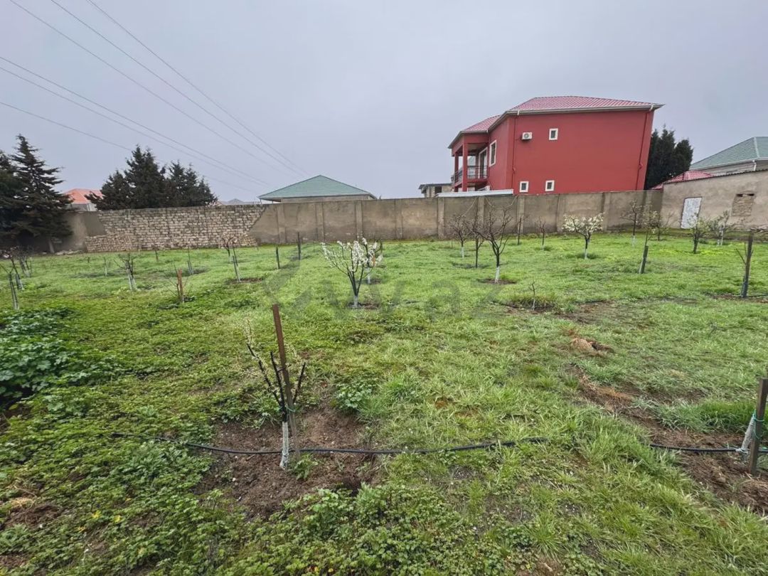 For sale: land, 13 sot — Torpaq, Bakı (6)