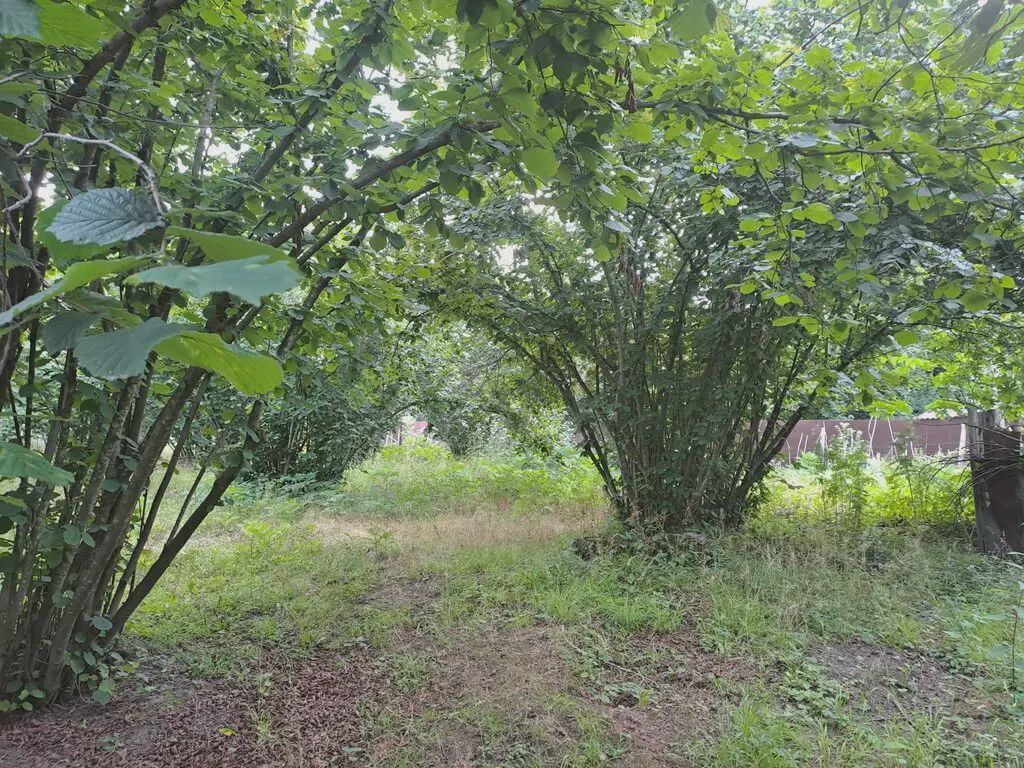Продаётся участок, 18 сот. — Torpaq, Qəbələ (2)