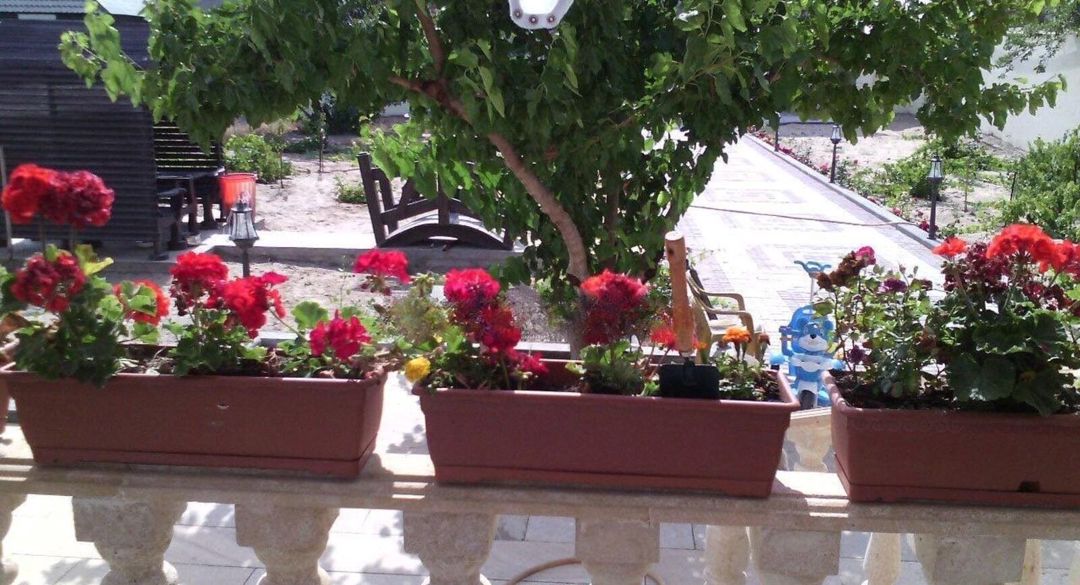 Satılık müstakil ev / Yazlık / Villa, 355 m² — Ev, villa, Bakı (9)