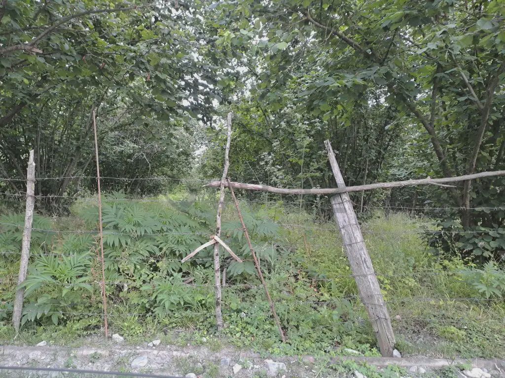 Продаётся участок, 18 сот. — Torpaq, Qəbələ