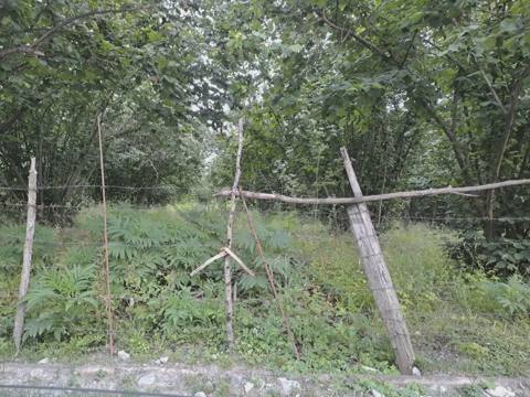 18 sot Torpaq Satılır, Qəbələ — 18 000 ₼ · Gabala · Torpaq 18 sot Torpaq Satılır, Qəbələ — Gabala