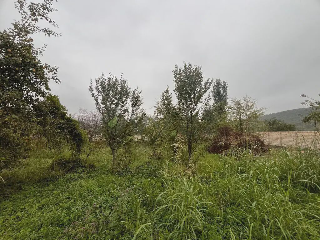 Satılık arsa, 16.5 sot — Torpaq, Quba (6)
