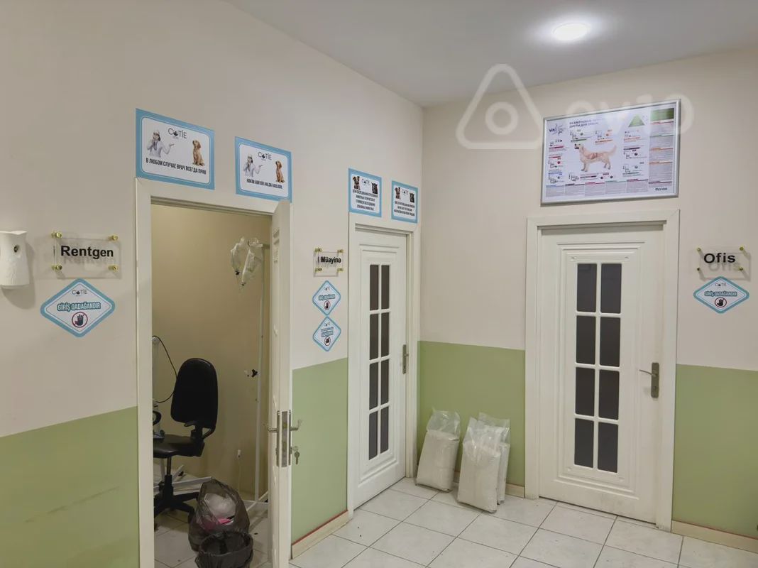 იყიდება commercial property, 100 მ² — Əmlak, Bakı (7)