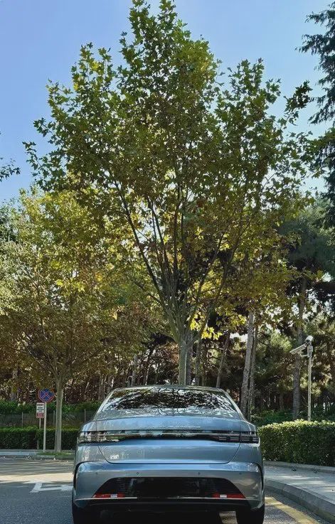 BYD Destroyer 05, 2025 il, 28000 km, 18.3 L — Avtomobillər (11)