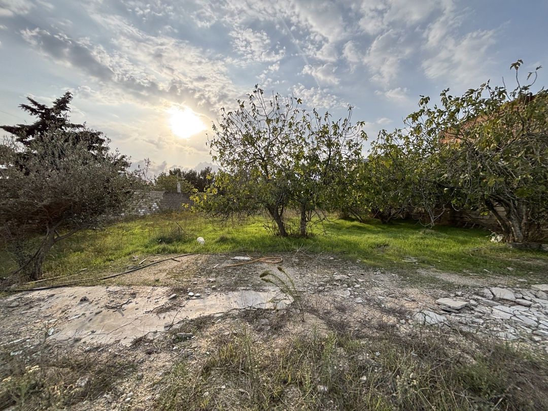 Satılık arsa, 15 sot — Torpaq, Bakı (3)