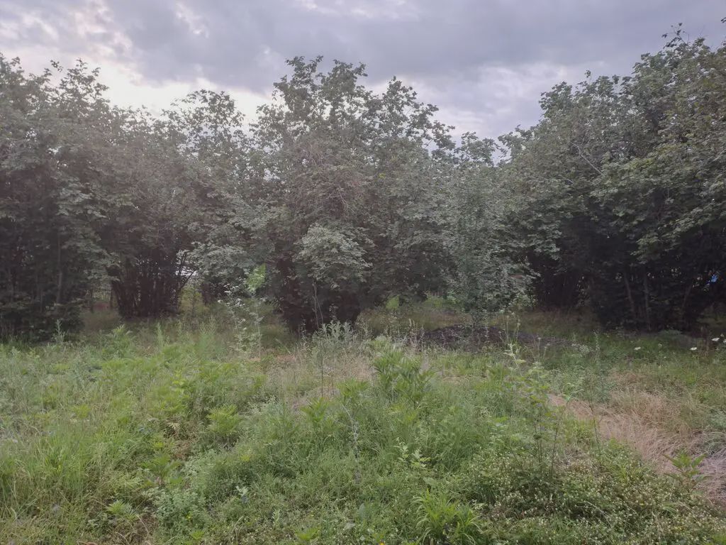 Продаётся участок, 18 сот. — Torpaq, Qəbələ (3)
