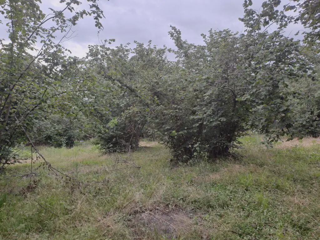 Продаётся участок, 18 сот. — Torpaq, Qəbələ (6)