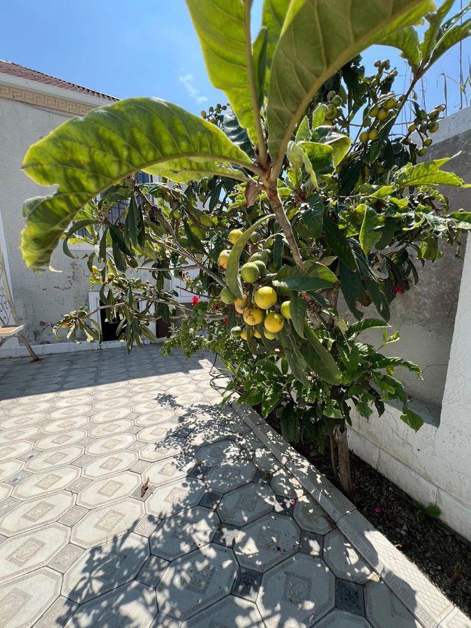 Продаётся 3-комн. дом / Дача / Вилла, 110 м² — Daşınmaz əmlak, Bakı (3)