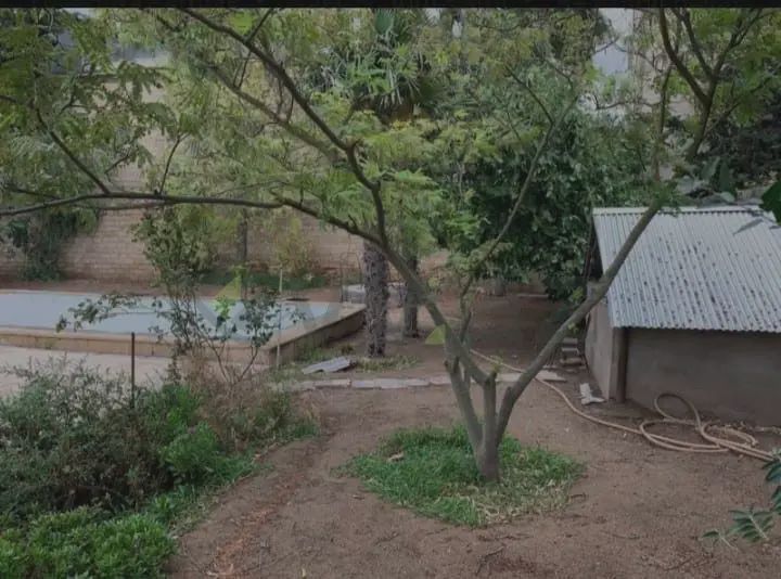 For sale: 4-room house / Cottage / Villa, 240 m² — Ev, villa, Bakı (3)