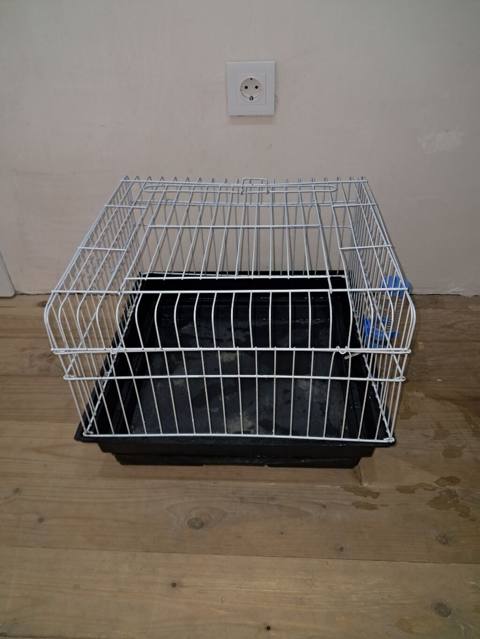 Olcu 45 x 45 x 33 Sm Sumqayıtdadı Almaq Fikri Olan Elaqe — 15 ₼ · Sumgayit · Qəfəslər Olcu 45 x 45 x 33 Sm Sumqayıtdadı Almaq Fikri Olan Elaqe — Sumgayit