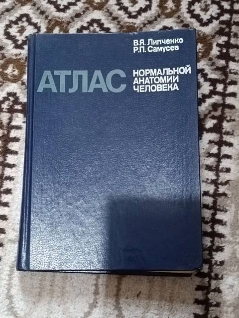 Книга Атлас нормальной анатомии человека kitab Ссср P.S. В указанном — Clothing, footwear, accessories