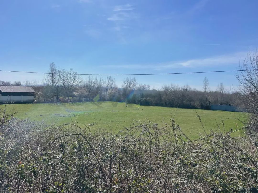 Satılık arsa, 37 sot — Torpaq, Qəbələ (6)