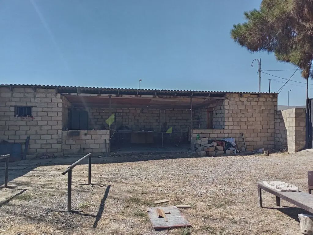 For sale: land, 4 sot — Torpaq, Salyan (9)