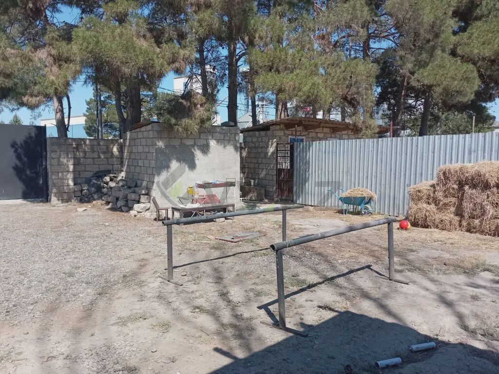 For sale: land, 4 sot — Torpaq, Salyan (7)