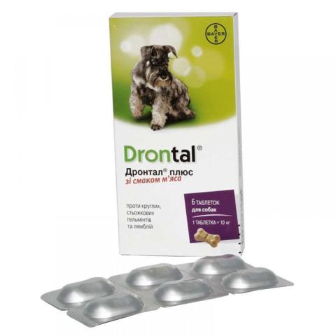 İtlər üçün parazitlərə qarşı həblər Drontal Plus, 10 kq-a qədər — 6.5 ₼ · Baku · Mallar İtlər üçün parazitlərə qarşı həblər Drontal Plus, 10 kq-a qədər — Baku