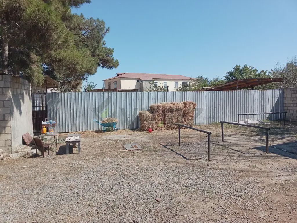 For sale: land, 4 sot — Torpaq, Salyan (2)