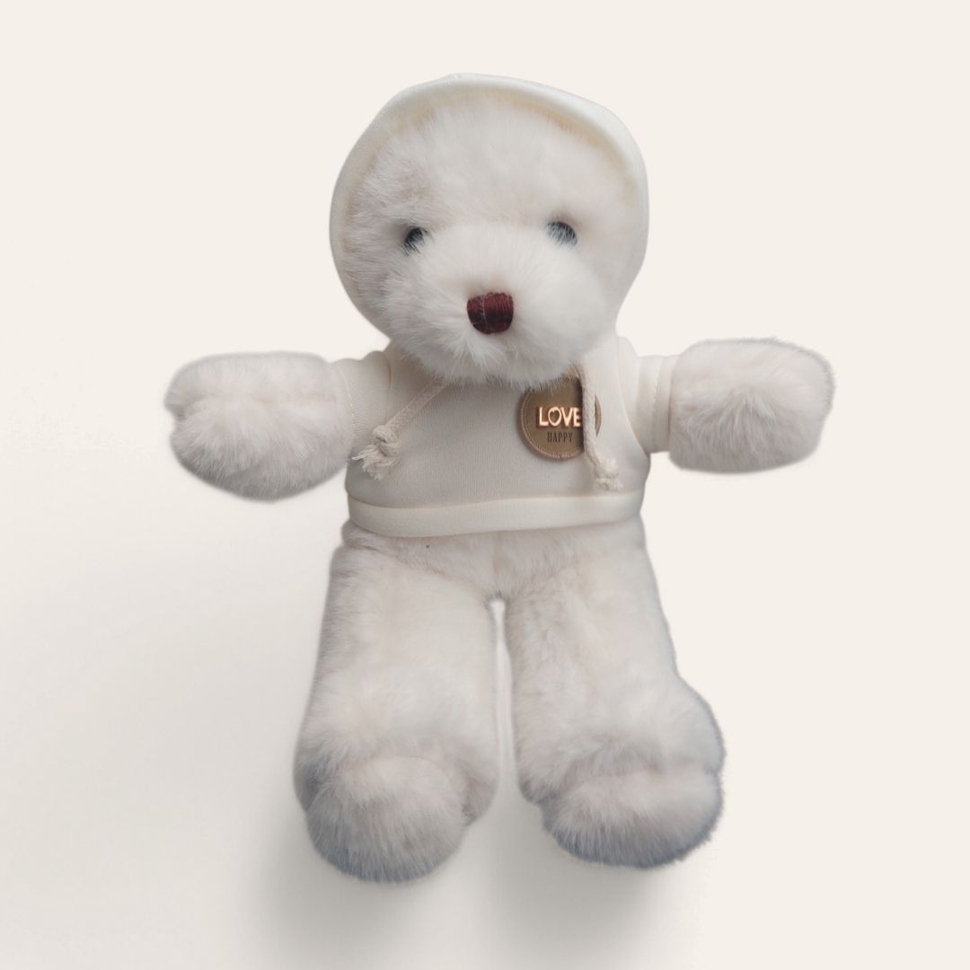 Ağ Teddy Bear. Teddy_2673ea — Yumşaq oyuncaqlar, Bakı (3)