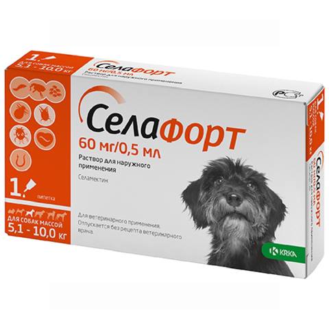 İtlər üçün Selafort Eco antiparazitar damcılar, 5,1–10 kq — Baku